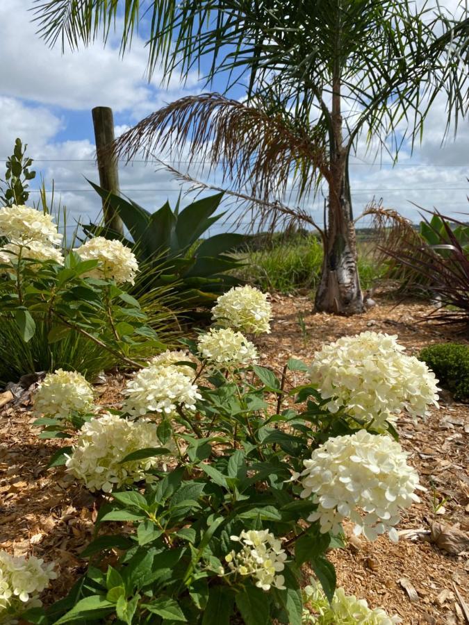 Turiwiri Farmstay Dargaville Eksteriør billede